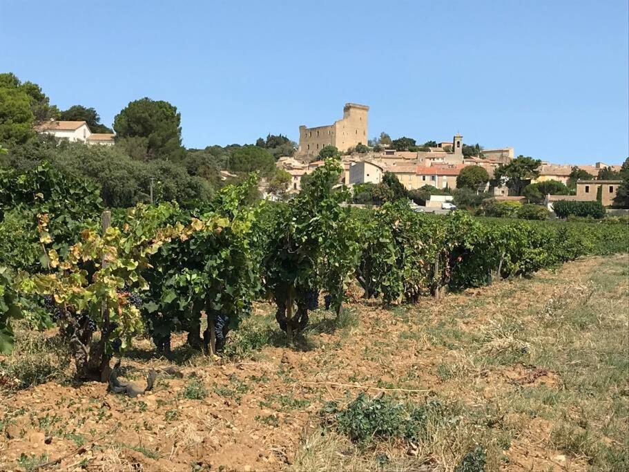 Gites En B&B Le Clos De La Cerise Шатонёф-дю-Пап Экстерьер фото